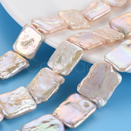 Natural Keshi Pearl Beads Strands PEAR-S020-K02-1