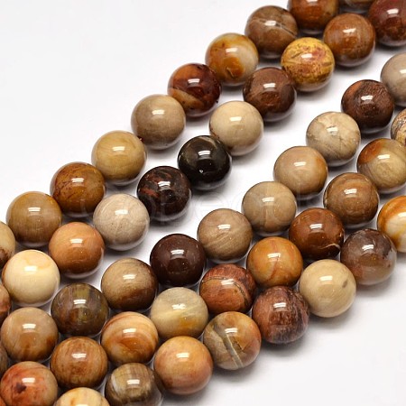 Natural Petrified Wood Round Bead Strands G-F266-08-10mm-1