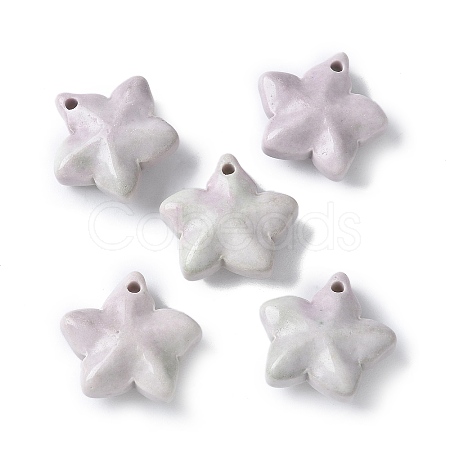 Natural Rainbow Alashan Agate Charms G-G194-02B-1