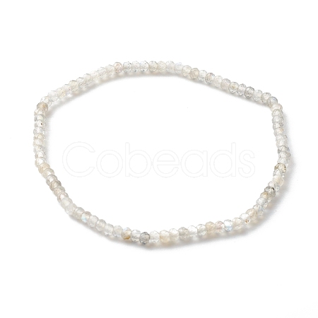 Faceted Rondelle Natural Labradorite Beads Stretch Bracelets BJEW-JB06383-09-1