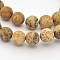 Natural Picture Jasper Beads Strands, Frosted, Round, 10mm, Hole: 1mm, about 38pcs/strand, 15.3 inch