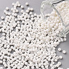 12/0 Glass Seed Beads SEED-US0003-2mm-41-1