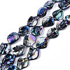Freshwater Shell Beads Strands SHEL-N026-204-1