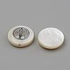 Natural Freshwater Shell Beads SHEL-Q011-006P-2