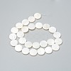Natural Freshwater Shell Beads X-BSHE-I011-01B-02-2