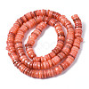 Natural Freshwater Shell Beads Strands SHEL-S278-025H-2