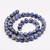 Natural Blue Spot Jasper Bead Strands G-R193-15-6mm-3