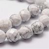 Natural Howlite Beads Strands G-D840-44-6mm-3