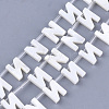 Freshwater Shell Beads X-SHEL-T012-59N-1