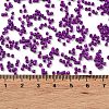 Baking Paint Glass Seed Beads X-SEED-S042-05B-73-4