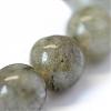 Natural Labradorite Round Bead Strands G-E334-4mm-19-4