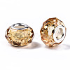 Transparent Resin European Beads RPDL-T003-003-B09-2