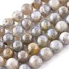 Natural Labradorite Beads Strands G-G212-8mm-23-4