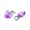 Faceted Transparent Glass Charms GLAA-T024-04B-3