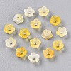 Frosted Transparent Acrylic Beads LS-X-OACR-N137-72G-2