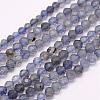 Natural Cordierite/Iolite/Dichroite Beads Strands G-F509-15-3mm-1