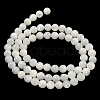 Natural Sea Shell Beads Strands SSHEL-K013-6mm-A-3