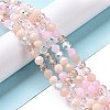 Glass Beads Strands GLAA-E036-09E-2
