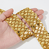 12.5 Yards Ployester Elastic Sequin Trimmings OCOR-AR0001-75C-3