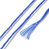 10 Skeins 6-Ply Polyester Embroidery Floss OCOR-K006-A21-3