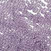 Glass Seed Beads SEED-H002-E-A1421-3