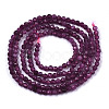 Natural Ruby Beads Strands G-N328-034-2