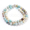 Natural Flower Amazonite Beads Strand G-E487-49-2