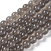 Natural Grey Agate Bead Strands G-R193-12-10mm-1