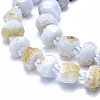 Natural Blue Lace Agate Beads Strands G-F715-032A-3