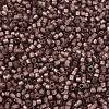 MIYUKI Delica Beads SEED-JP0008-DB2183-3