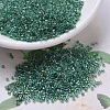 MIYUKI Delica Beads SEED-J020-DB0060-1