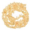 Natural Citrine Beads Strands G-F328-13-5