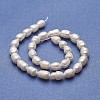 Natural Cultured Freshwater Pearl Beads Strands PEAR-P060-03B-01-2