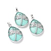 Dyed Natural Howlite Pendants G-G900-01P-21-1