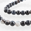 Natural Black Agate Round Bead Strands G-E232-05-1