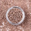FGB 11/0 Grade A Baking Paint Glass Seed Beads X-SEED-S030-1145-3