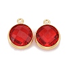 Glass Charms KK-C228-02G-10-1