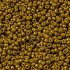 MIYUKI Round Rocailles Beads X-SEED-G008-RR4456-3