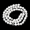 Natural Howlite Beads Strands G-Z119-A43-01-4