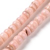 Natural Cultured Freshwater Shell Beads Strands SHEL-F002-01-2