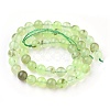 Natural Prehnite Beads Strands X-G-I250-01D-2
