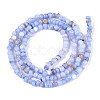 Natural Freshwater Shell Dyed Beads Strands SHEL-T020-29B-01-2