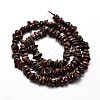 Natural Bronzite Chip Beads Strands G-E271-127-2