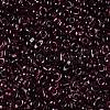 Picasso Spray Painted Glass Seed Beads SEED-T006-04-22-2