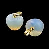 Opalite Teacher Apple Charms G-Z022-02A-G-2