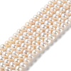 Natural Cultured Freshwater Pearl Beads Strands PEAR-E018-99-1
