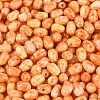 Picasso Glass Seed Beads SEED-N012-10B-3