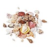 Mixed Shell Beads BSHE-TA0002-05-3