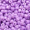 Baking Paint Pearlized Glass Seed Beads SEED-C001-04A-12-3