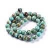 Natural Howlite Beads Strands X-TURQ-F017-02-10mm-2